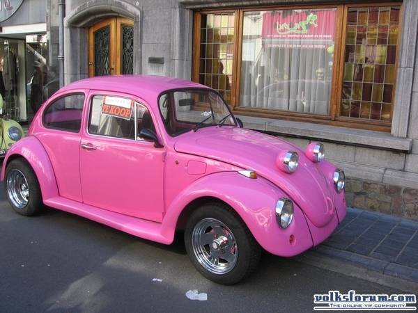 ninove