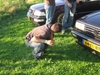 VAGFest 2008