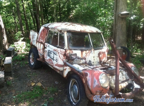 Busbug