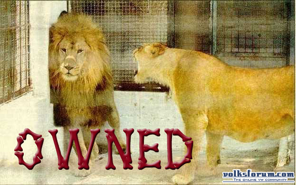 lionowned1
