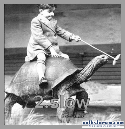 turtle2