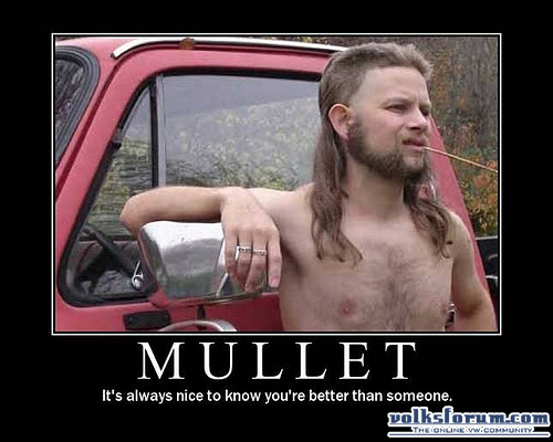 mullet