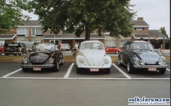 allen samen 1303  1303c 1500
