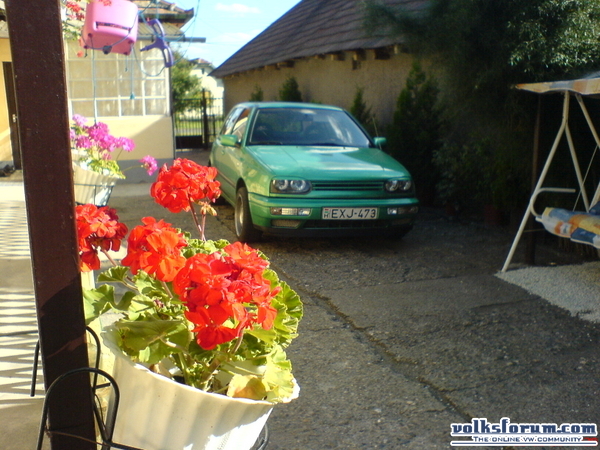 my golf