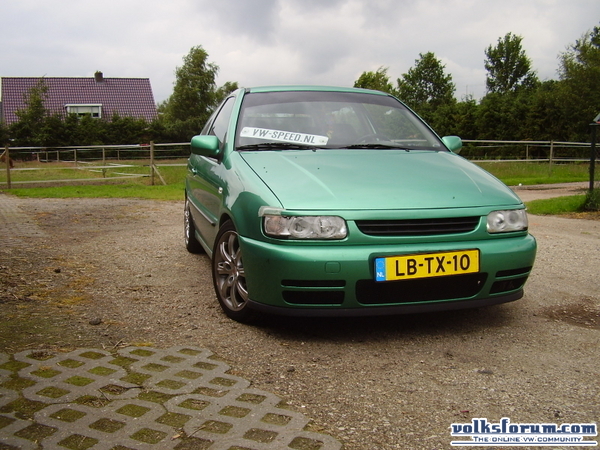 polo