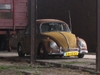 satans circus vw ratlook