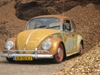 satans circus vw ratlook
