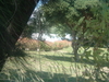 DSCF0092