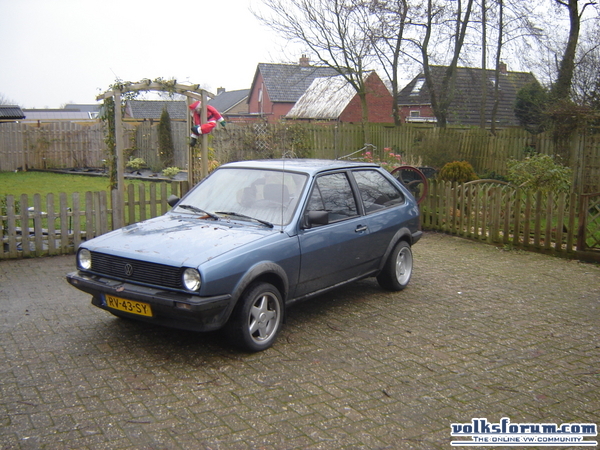 polo te koop