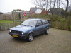 polo te koop