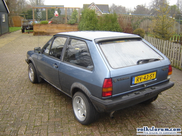 polo te koop