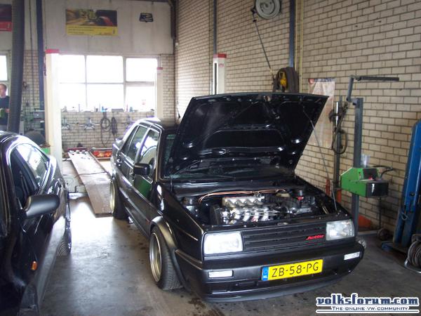 jetta